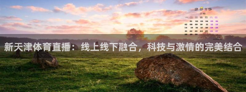 新天津体育直播：线上线下融合，科技与激情的完美结合