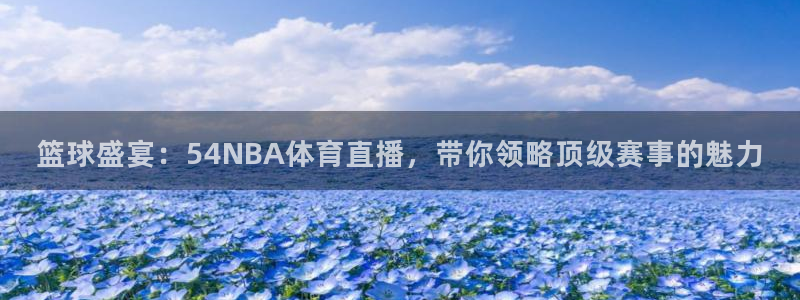 篮球盛宴：54NBA体育直播，带你领略顶级赛事的魅力