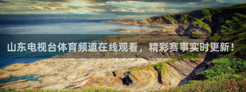 山东电视台体育频道在线观看，精彩赛事实时更新！
