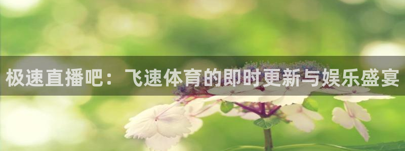 极速直播吧：飞速体育的即时更新与娱乐盛宴