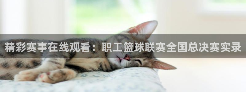精彩赛事在线观看：职工篮球联赛全国总决赛实录