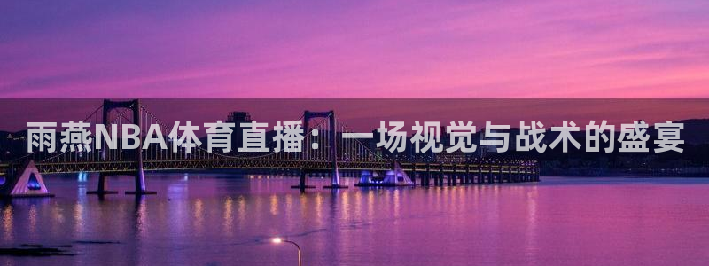 雨燕NBA体育直播：一场视觉与战术的盛宴