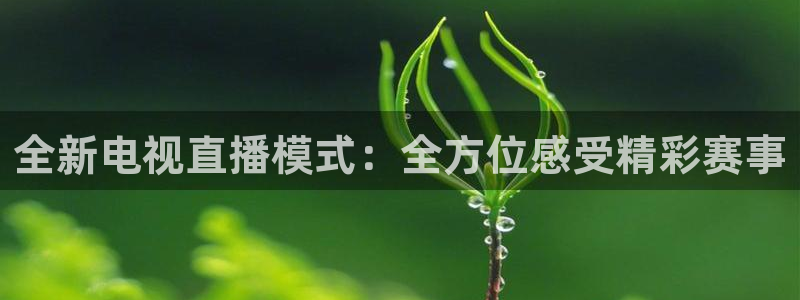 全新电视直播模式：全方位感受精彩赛事