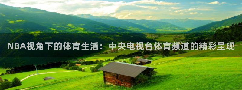 NBA视角下的体育生活：中央电视台体育频道的精彩呈现