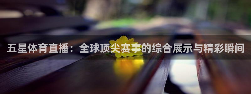 五星体育直播：全球顶尖赛事的综合展示与精彩瞬间