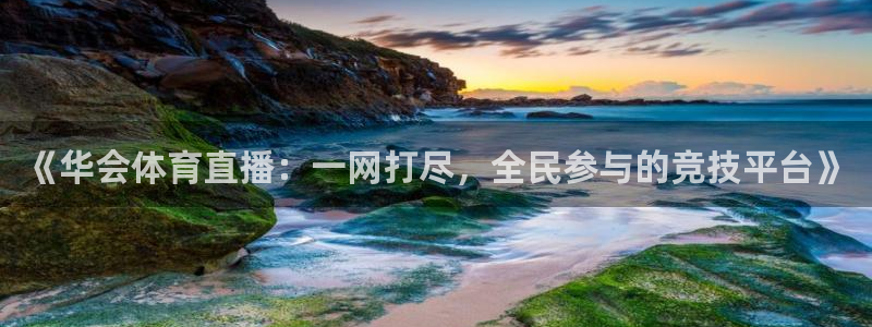 《华会体育直播：一网打尽，全民参与的竞技平台》