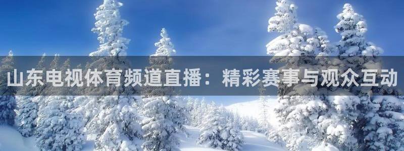 山东电视体育频道直播：精彩赛事与观众互动