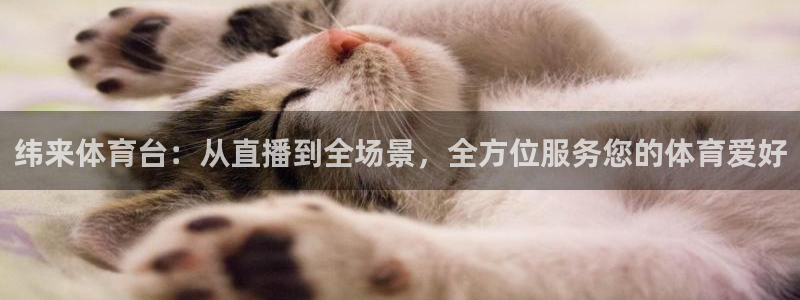 纬来体育台：从直播到全场景，全方位服务您的体育爱好