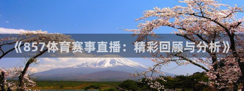 《857体育赛事直播：精彩回顾与分析》