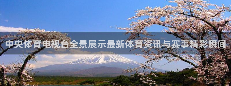 中央体育电视台全景展示最新体育资讯与赛事精彩瞬间