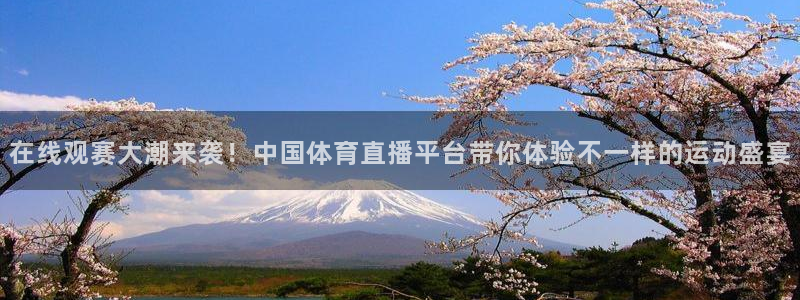 在线观赛大潮来袭！中国体育直播平台带你体验不一样的运动盛宴