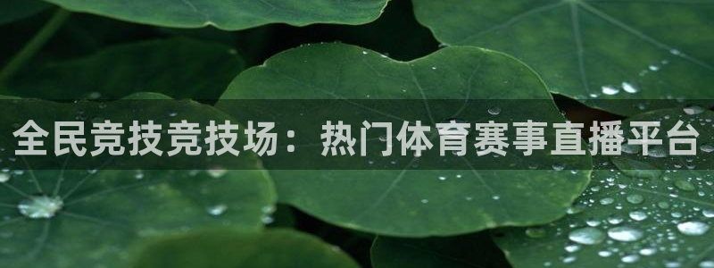 全民竞技竞技场：热门体育赛事直播平台
