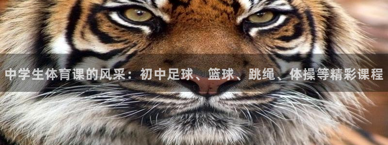 中学生体育课的风采：初中足球、篮球、跳绳、体操等精彩课程