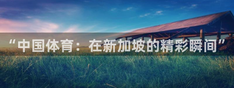 “中国体育：在新加坡的精彩瞬间”