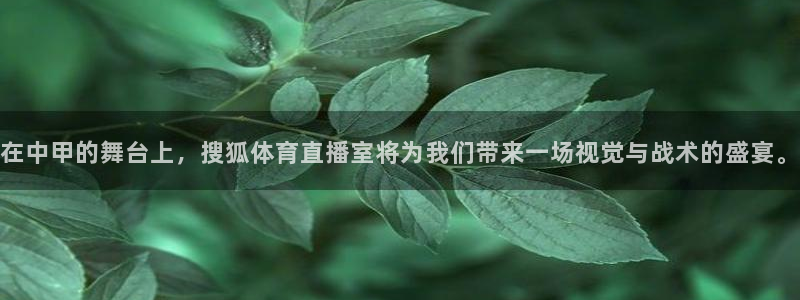 在中甲的舞台上，搜狐体育直播室将为我们带来一场视觉与战术的盛宴。