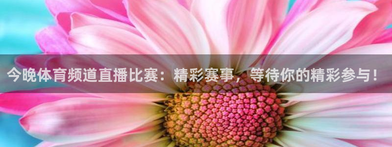 今晚体育频道直播比赛：精彩赛事，等待你的精彩参与！