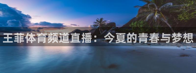 王菲体育频道直播：今夏的青春与梦想
