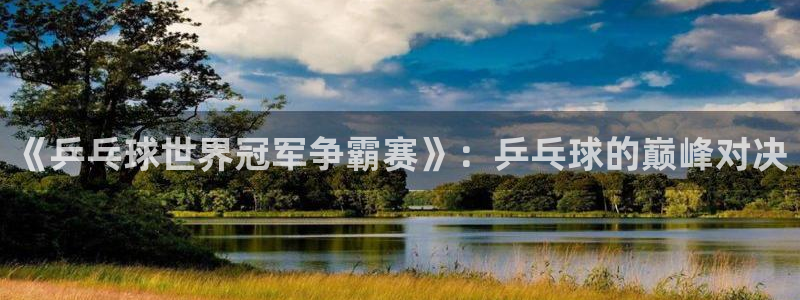 《乒乓球世界冠军争霸赛》：乒乓球的巅峰对决