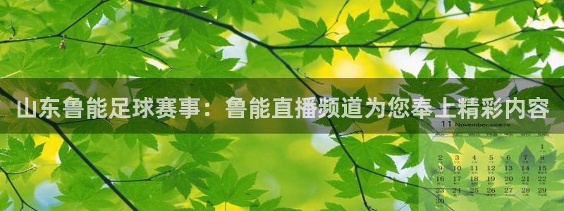 山东鲁能足球赛事：鲁能直播频道为您奉上精彩内容