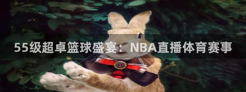55级超卓篮球盛宴：NBA直播体育赛事