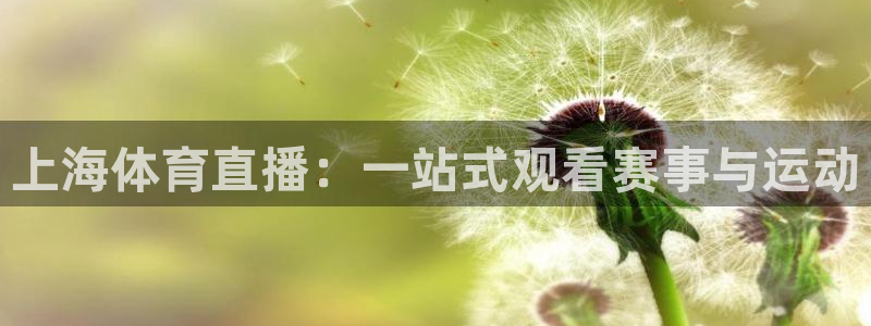 上海体育直播：一站式观看赛事与运动